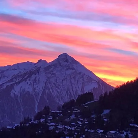 يولا للعطلات