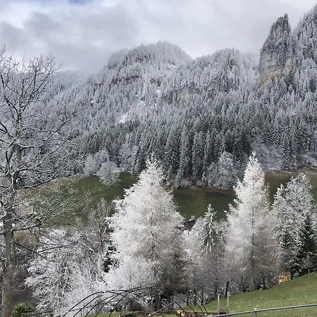 يولا للعطلات شقة *