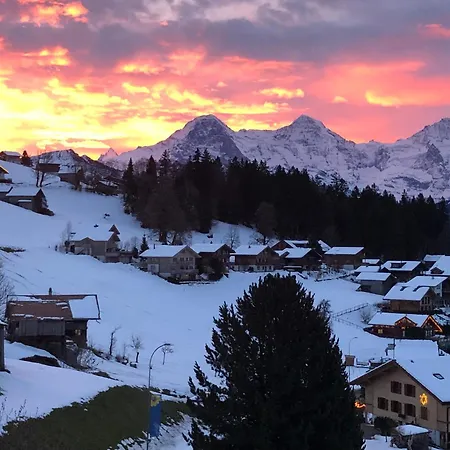 يولا للعطلات *