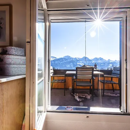 يولا للعطلات