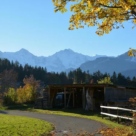 يولا للعطلات *