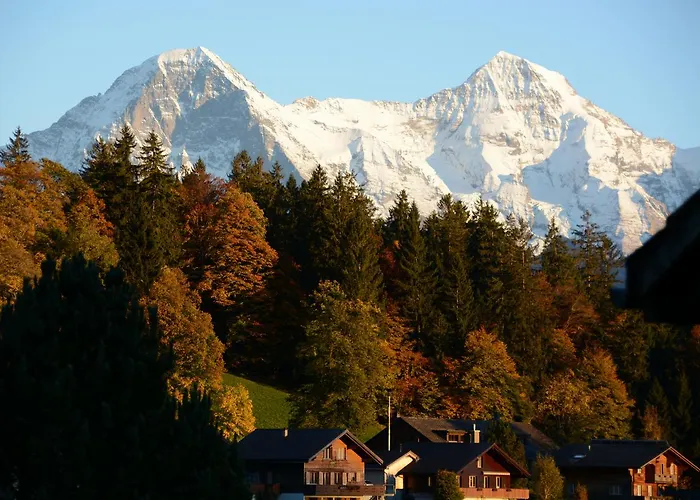 Ula's Apartament Beatenberg